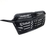 ცხაურა (შავი)